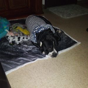 Meet your Posher, Adette